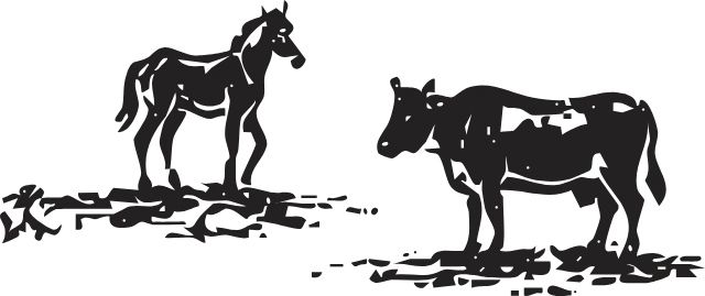 阿蘇リトリート HONO nt-ess-cattle