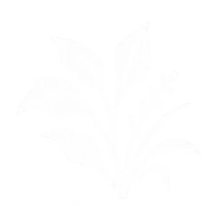阿蘇リトリート HONO t2-em-leaf