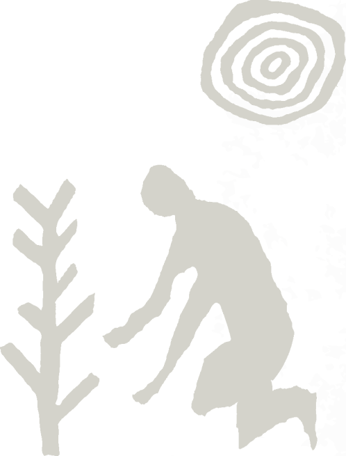 木を植える人の線画