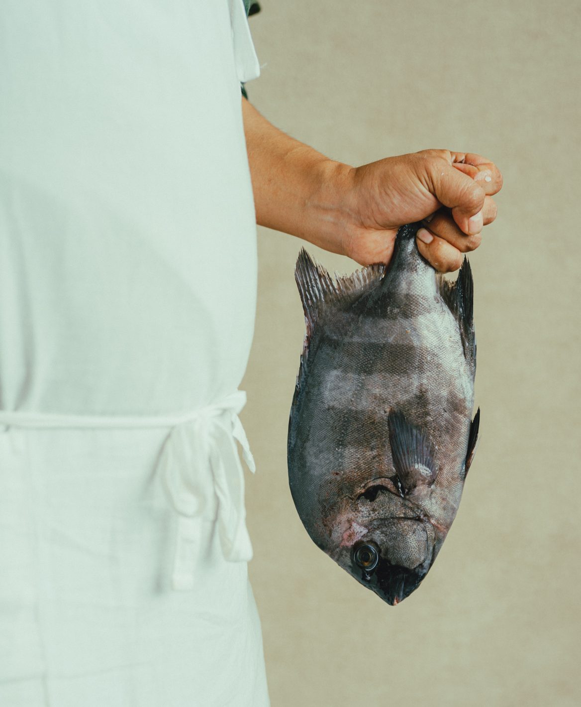 釣り上げた魚を手にする料理人